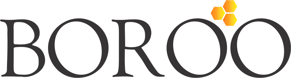 Minera Boroo Misquichilca S.A.